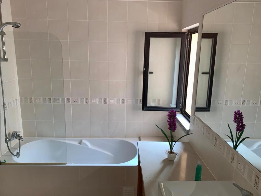 Dina Luxury 2 Bedroom Apartment Senhora da Luz 외부 사진